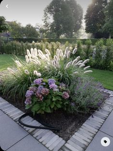 a garden filled with lots of purple and white flowers