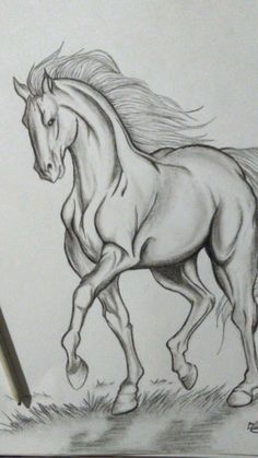 a pencil drawing of a running horse