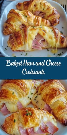 These Baked Ham and Cheese Croissants are a delightful combination of buttery, flaky pastry filled with savory ham and melted cheese. Perfect for breakfast, brunch, or a quick snack, they offer a satisfying and indulgent treat that's easy to prepare. Ham And Crescent Roll Recipes, Breakfast Brunch Food Ideas, Simple Breakfast Bar Ideas, Bulk Brunch Ideas, Croissant Ham Bake, Quick Easy Christmas Breakfast Ideas, Christmas Breakfast Snack Ideas, Ham Cheese Croissant Sandwiches, Breakfast Recipe For A Crowd