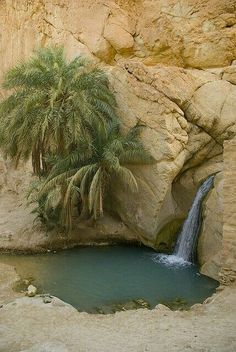 there is a small waterfall in the middle of this rock formation with palm trees growing out of it