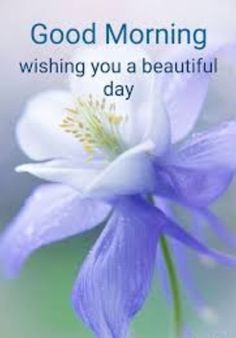 a blue flower with the words good morning wishing you a beautiful day on it's side