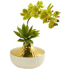 a white and gold vase with a green plant in it's center, on a white background