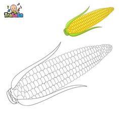 a corn on the cob is shown in this drawing technique, and it's not easy to draw