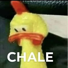 a yellow stuffed animal with the words chale on it's face and neck