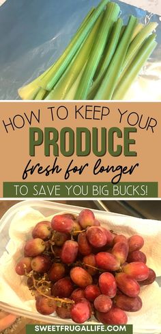 green beans and other vegetables in plastic containers with text overlay that says how to keep your produce fresh for longer