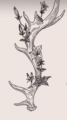 a drawing of a tree branch with flowers on it