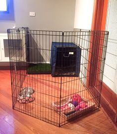 a cage with two dogs in it on the floor