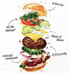 a drawing of a hamburger with all the ingredients labeled in its bun and on top of it