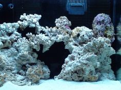 an aquarium filled with lots of different types of rocks and corals in the water