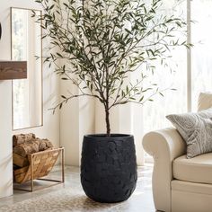 a living room with a white couch and a black potted plant