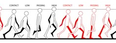 the stages of walking in different directions, with instructions for each step to follow them