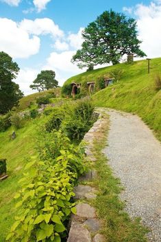 a stone path leading up to the top of a grassy hill with trees on it