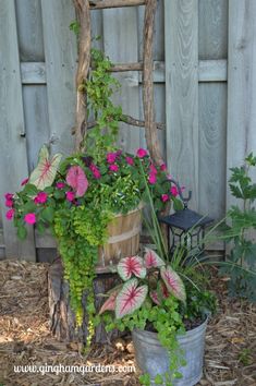 an old ladder is used as a planter for flowers