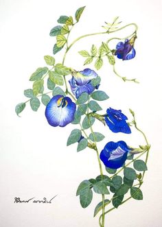 a painting of blue flowers with green leaves