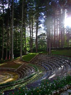 the sun shines brightly through the trees on an empty stage in front of a forest