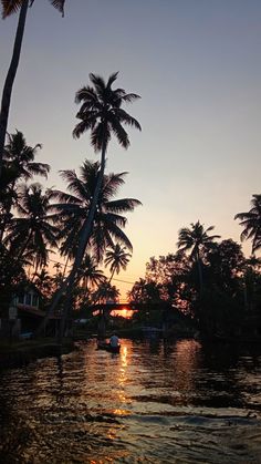 the sun is setting behind palm trees and boats on the water in front of them