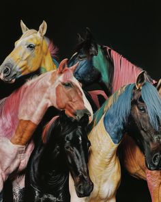 five different colored horses are standing together