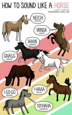 horses and their names in different colors, with the words how to sound like a horse