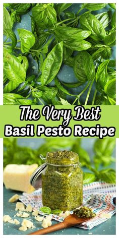 the very best basil pest recipe