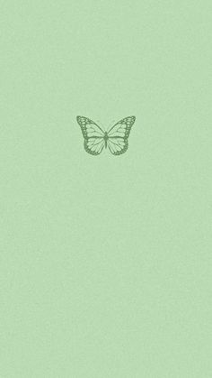 a green background with a butterfly drawn on the top and bottom part of it's wings