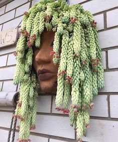 a woman's head is covered with green plants on the side of a building