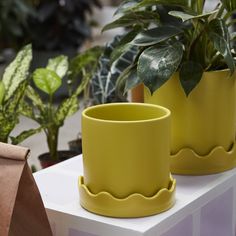 two yellow planters sitting on top of a white table next to green plants and brown paper bag