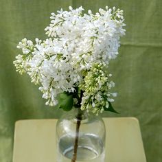 white flowers in a glass vase on a table