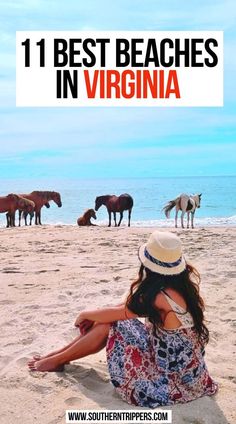 11 Best Beaches in Virginia Beaches In Virginia, Beach With Kids, West Virginia Travel, Southern Travel, North America Travel Destinations, Dog Friendly Beach, Virginia Travel