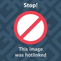 a sign that says stop this image was hotlinked