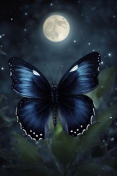 a blue butterfly sitting on top of a green plant in front of a full moon