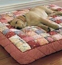 a dog is sleeping on a quilted bed