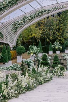 an outdoor garden with lots of white flowers and greenery on the sides of it