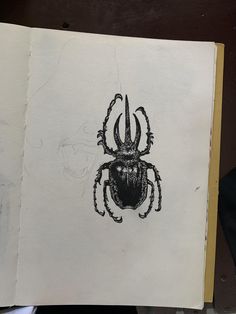 a drawing of a spider on paper