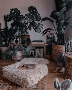 a living room filled with lots of plants and furniture