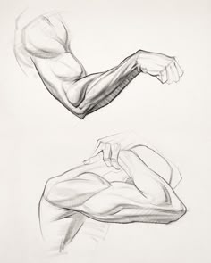 two drawings of arms and torsos, one in black and white