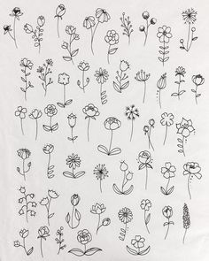 an image of flowers drawn on a white paper with black marker pens and inks