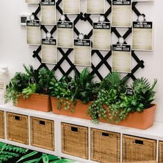 some plants are sitting on top of the shelf in front of a wall with signs