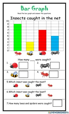 an insect graph worksheet to help students learn how to find the correct numbers