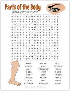 parts of the body word search puzzle for kids with pictures and words to help them understand what they are doing