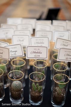 there are many small glass vases with plants in them and place cards on top