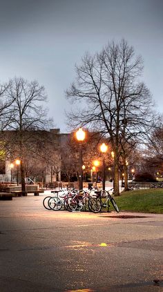 several bicycles are parked on the pavement in front of some buildings at night with street lights