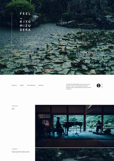 the website is designed to look like it has water lilies growing on top of it