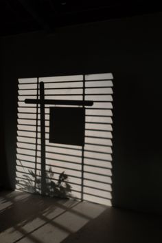 the shadow of a window on a wall in front of a plant with long shadows