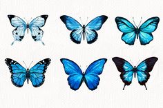 six blue butterflies in different positions on a white background with watercolor paint effect effects