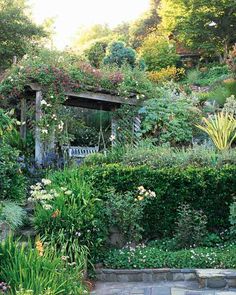 an outdoor garden with lots of plants and flowers