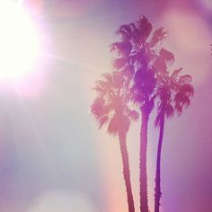 two palm trees in front of the sun on a clear day with purple and blue colors