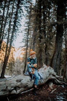 a woman sitting on top of a tree log in the middle of a wooded area