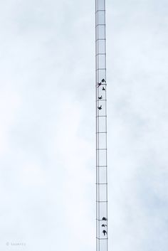 several people climbing up the side of a tall tower