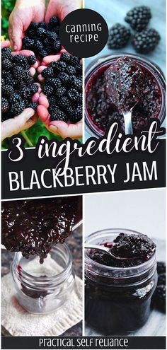 three ingredient blackberry jam recipe with text overlay