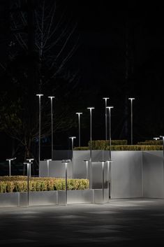 there are many lights that are on poles in the dark night time area with grass and bushes behind them